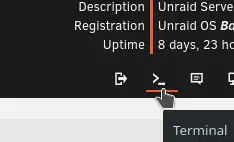 (4/8) Unraid Terminal öffnen